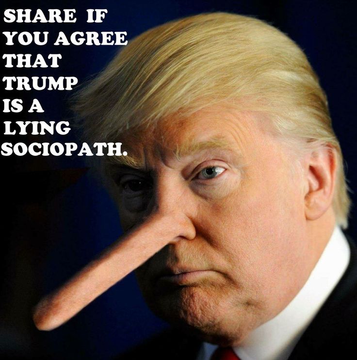 Who will be the new Pope. Trump with the lying nose.