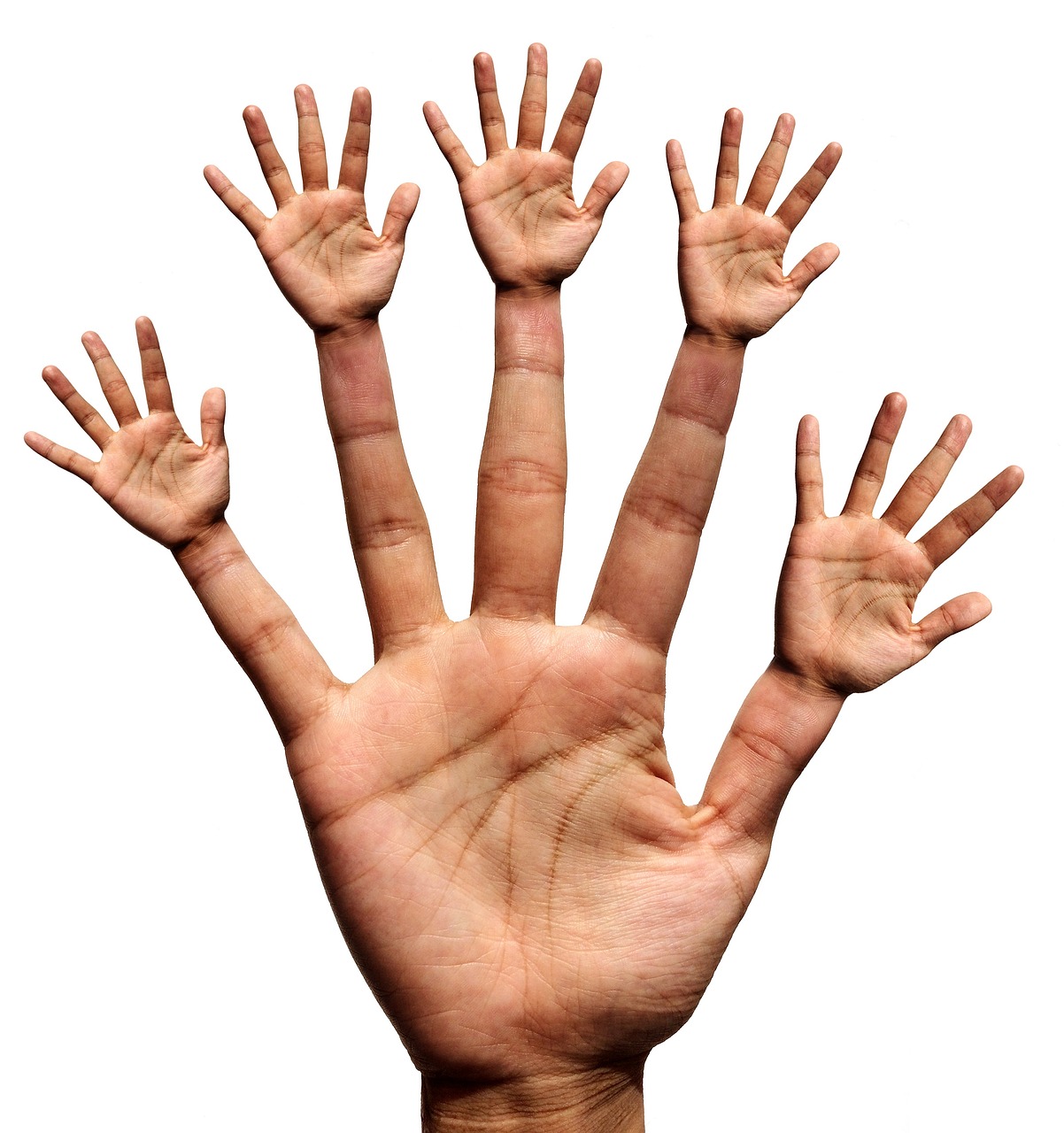 Five hands growing from the five fingers. Before going to sleep, make it your intention to find your hands in your dreams. "I will find my hands in my dreams." Repeat this 10 times.