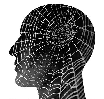 Mental illness- spider net in the human head. 