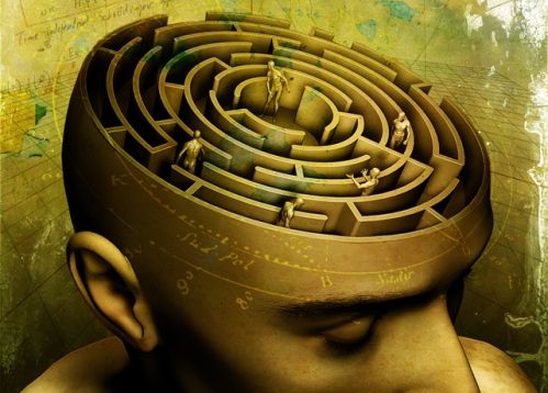 A labyrinth in a human head.